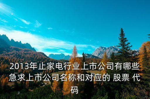 2013年止家電行業(yè)上市公司有哪些急求上市公司名稱和對應的 股票 代碼