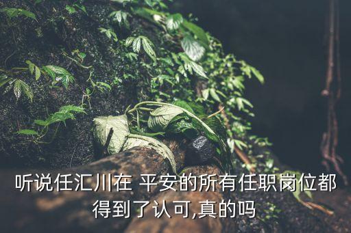 中國平安董事會(huì)風(fēng)險(xiǎn)管理委員會(huì),董事會(huì)風(fēng)險(xiǎn)管理委員會(huì)的主要職責(zé)權(quán)限包括