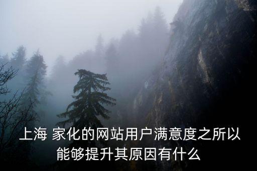  上海 家化的網(wǎng)站用戶(hù)滿(mǎn)意度之所以能夠提升其原因有什么