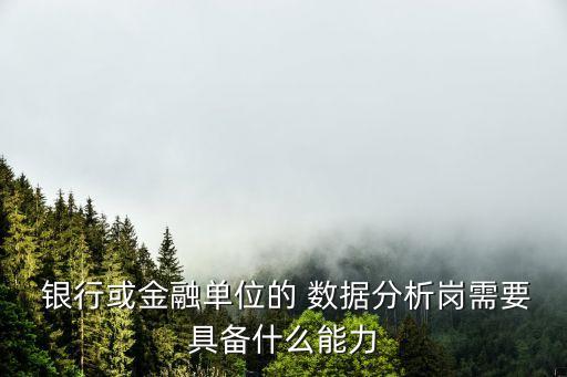  銀行或金融單位的 數據分析崗需要具備什么能力