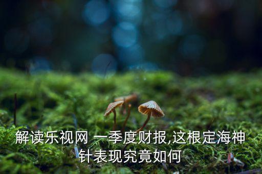 解讀樂(lè)視網(wǎng) 一季度財(cái)報(bào),這根定海神針表現(xiàn)究竟如何