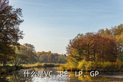 什么是VC、PE、LP、GP