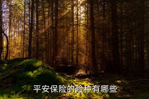 中國(guó)平安壽險(xiǎn)種類,平安壽險(xiǎn)種類有哪些