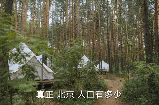 北京城區(qū)人口數量,石家莊主城區(qū)人口數量