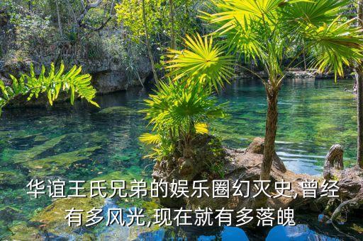  華誼王氏兄弟的娛樂圈幻滅史,曾經有多風光,現(xiàn)在就有多落魄