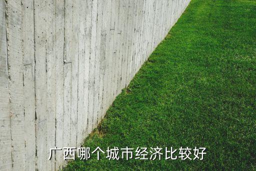 廣西哪個(gè)城市經(jīng)濟(jì)比較好