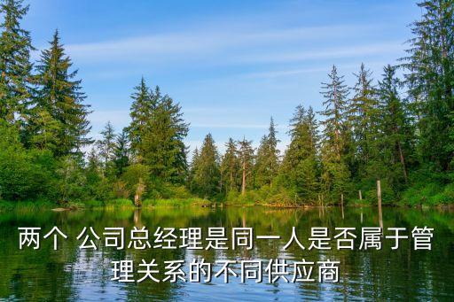 兩個 公司總經理是同一人是否屬于管理關系的不同供應商