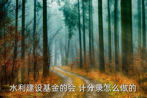 水利建設基金的會 計分錄怎么做的