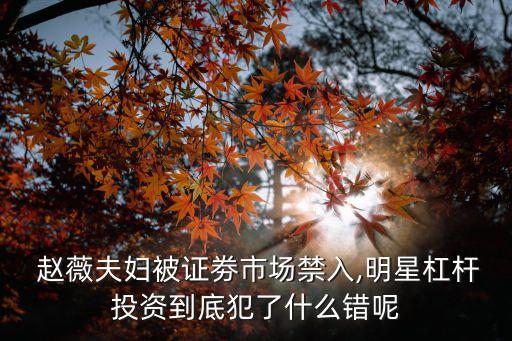  趙薇夫婦被證劵市場禁入,明星杠桿投資到底犯了什么錯(cuò)呢