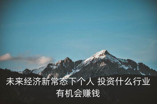 未來(lái)經(jīng)濟(jì)新常態(tài)下個(gè)人 投資什么行業(yè)有機(jī)會(huì)賺錢