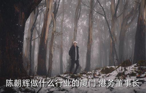 陳朝輝做什么行業(yè)的廈門 港務董事長