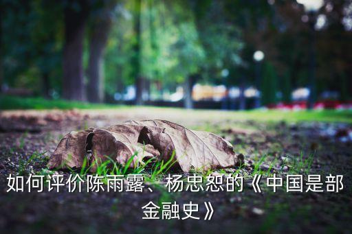 如何評(píng)價(jià)陳雨露、楊忠恕的《中國(guó)是部 金融史》