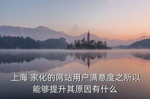  上海 家化的網站用戶滿意度之所以能夠提升其原因有什么