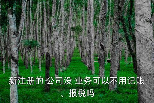 新注冊的 公司沒 業(yè)務(wù)可以不用記賬、報稅嗎