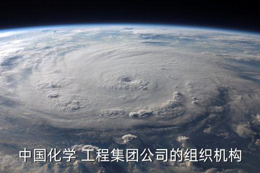 中國化學 工程集團公司的組織機構