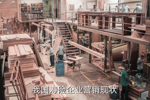 中國人壽經(jīng)營(yíng)方式