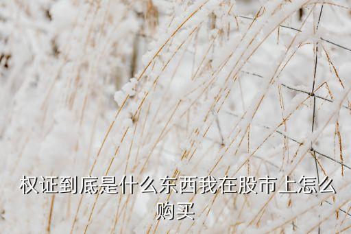  權(quán)證到底是什么東西我在股市上怎么購(gòu)買