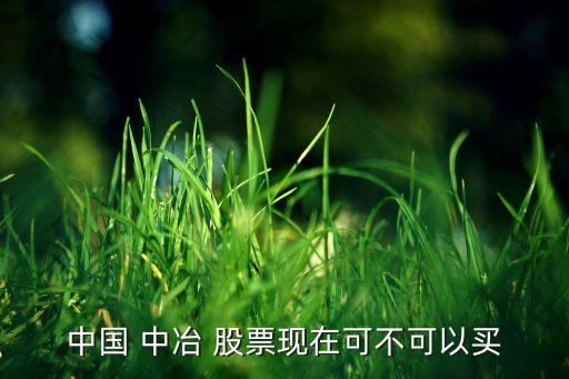 中國(guó) 中冶 股票現(xiàn)在可不可以買