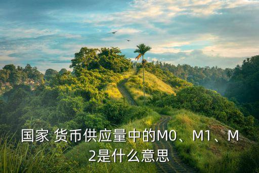 國家 貨幣供應(yīng)量中的M0、M1、M2是什么意思