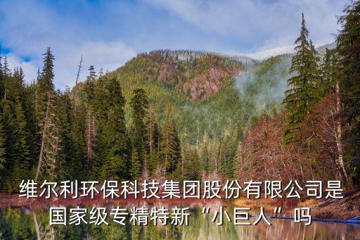  維爾利環(huán)?？萍技瘓F股份有限公司是國家級專精特新“小巨人”嗎
