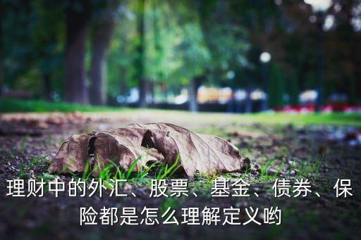 理財中的外匯、股票、基金、債券、保險都是怎么理解定義喲
