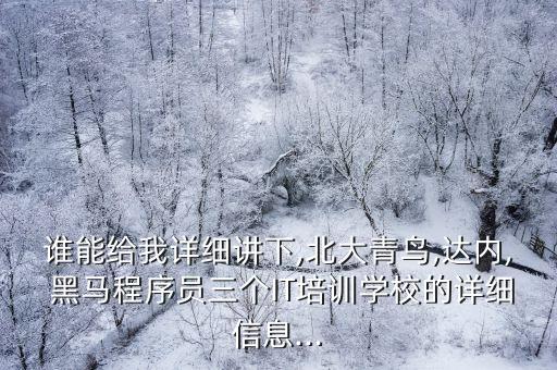 誰能給我詳細講下,北大青鳥,達內(nèi), 黑馬程序員三個IT培訓學校的詳細信息...