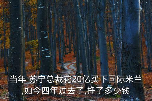 當(dāng)年 蘇寧總裁花20億買(mǎi)下國(guó)際米蘭,如今四年過(guò)去了,掙了多少錢(qián)