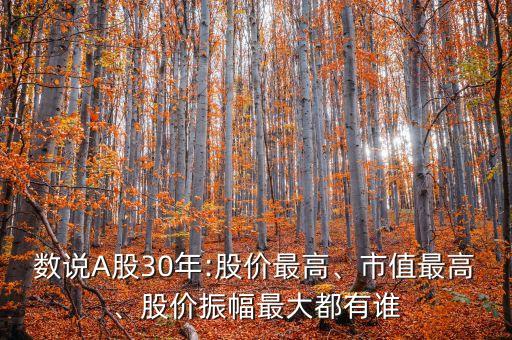 數(shù)說A股30年:股價(jià)最高、市值最高、股價(jià)振幅最大都有誰