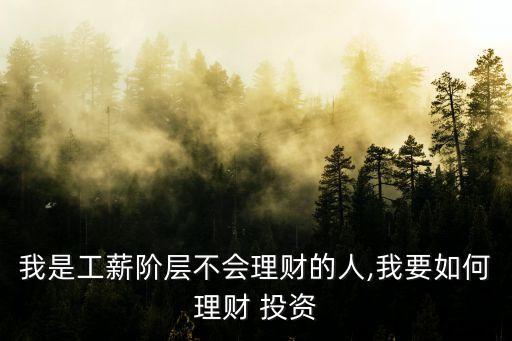 我是工薪階層不會理財(cái)?shù)娜?我要如何理財(cái) 投資
