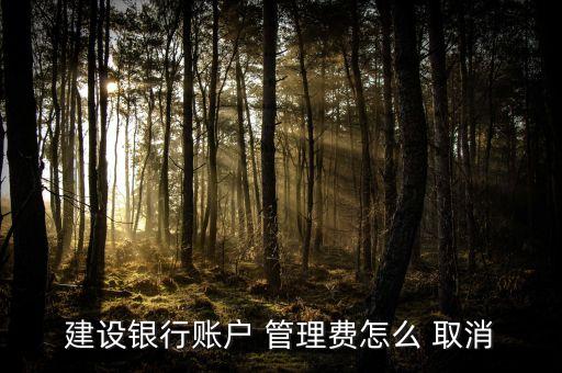 建設(shè)銀行賬戶 管理費怎么 取消
