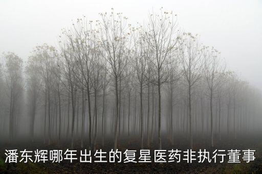 復地集團總裁,復地產發(fā)集團總裁