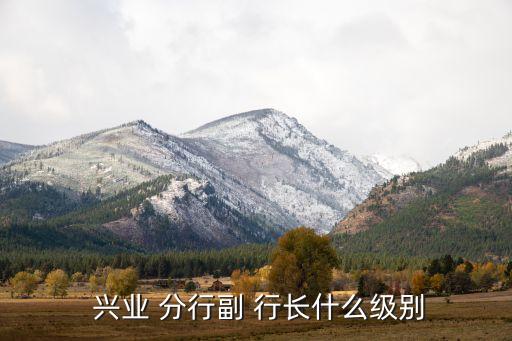  興業(yè) 分行副 行長什么級(jí)別