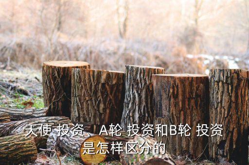 天使 投資、A輪 投資和B輪 投資是怎樣區(qū)分的