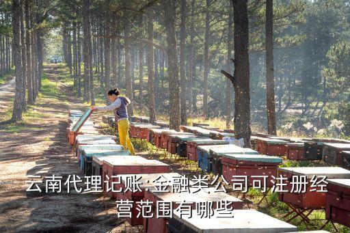  云南代理記賬:金融類公司可注冊(cè)經(jīng)營范圍有哪些