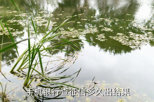 2013中國(guó)手機(jī)銀行用戶(hù)調(diào)研報(bào)告