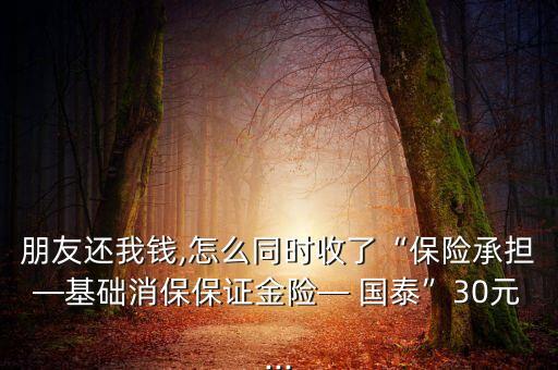 國泰世紀產物保險股份有限公司,富邦產物保險股份有限公司