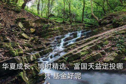 華夏成長(zhǎng)、博時(shí)精選、富國天益定投哪只 基金好呢