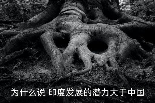 印度經濟超中國理由,印度和中國的經濟實力