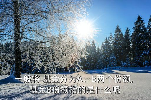 一般將 基金分為A、B兩個(gè)份額, 基金B(yǎng)份額指的是什么呢