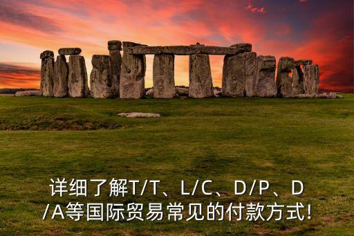 詳細(xì)了解T/T、L/C、D/P、D/A等國際貿(mào)易常見的付款方式!