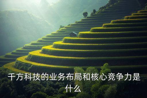  千方科技的業(yè)務(wù)布局和核心競(jìng)爭(zhēng)力是什么