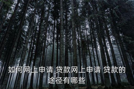如何網上申請 貸款網上申請 貸款的途徑有哪些