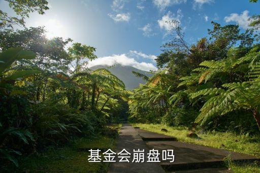  基金會(huì)崩盤(pán)嗎