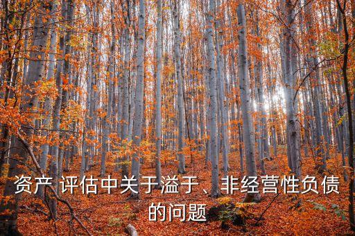 資產(chǎn) 評(píng)估中關(guān)于溢于、非經(jīng)營(yíng)性負(fù)債的問(wèn)題