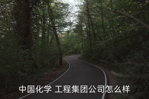 中國化學 工程集團公司怎么樣