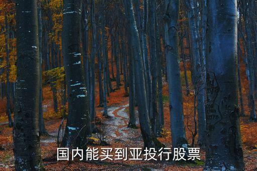 國(guó)內(nèi)能買(mǎi)到亞投行股票