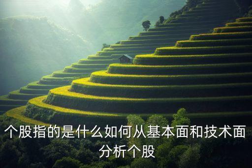 個股指的是什么如何從基本面和技術面 分析個股