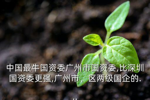中國最牛國資委廣州市國資委,比深圳國資委更強,廣州市、區(qū)兩級國企的...