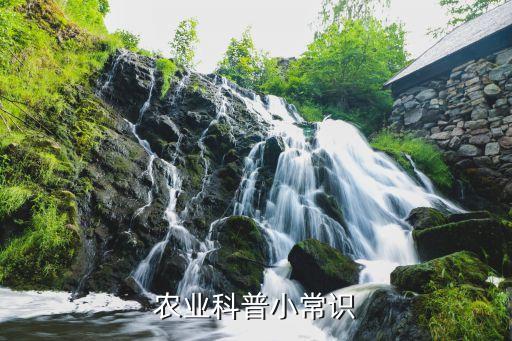 中國荔枝年產量,合江荔枝2023年產量