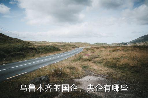 烏魯木齊的國企、央企有哪些